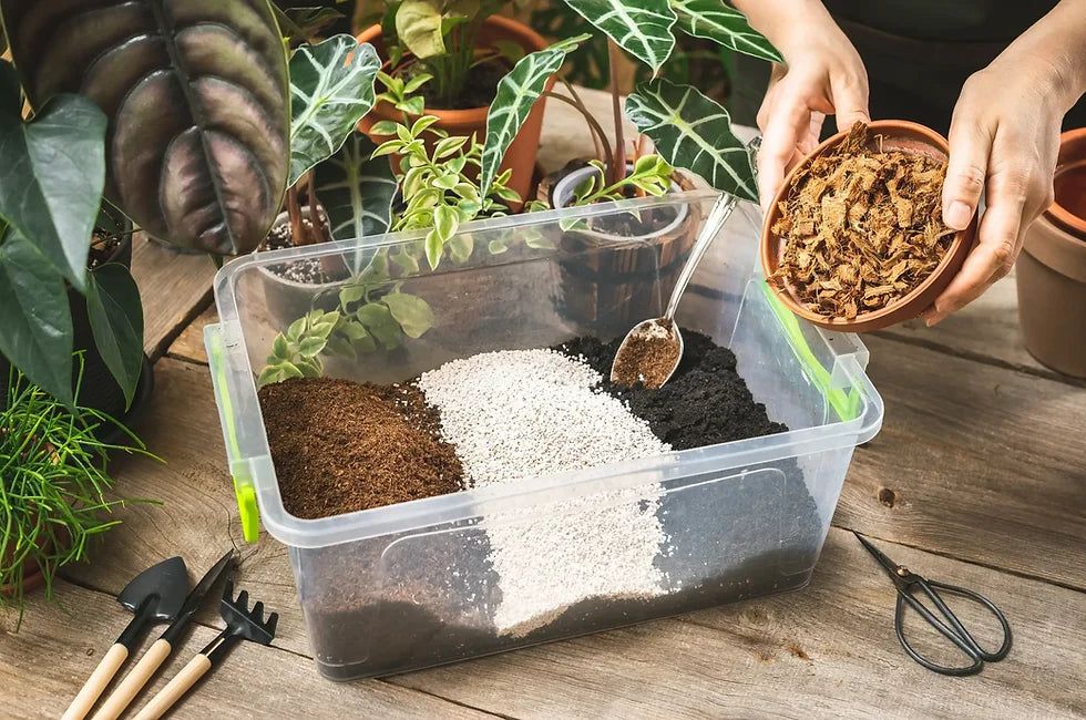 Substrate vs. Regular Soil: Which One is Better for Houseplants?
