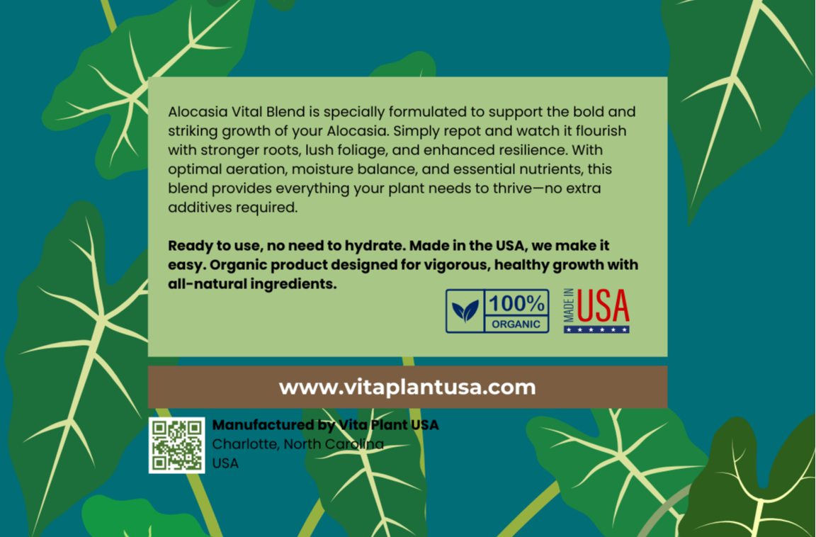 Alocasia Vital Blend