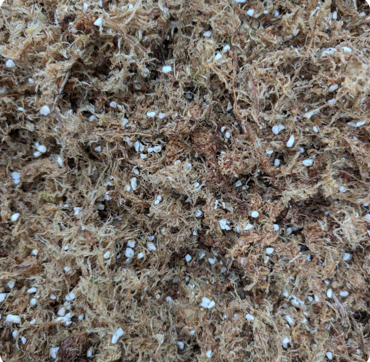 Sphagnum Moss Organic Premium Blend